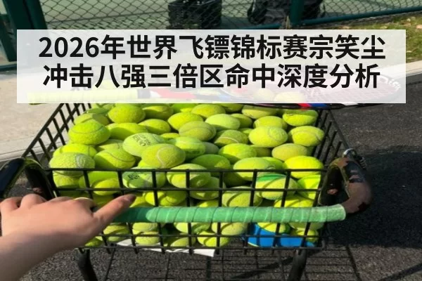 2026年世界飞镖锦标赛宗笑尘冲击八强三倍区命中深度分析