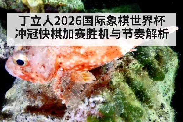 丁立人2026国际象棋世界杯冲冠快棋加赛胜机与节奏解析